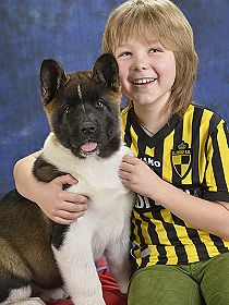 chien �leveurs chiens photos