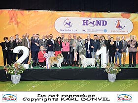 chien �leveurs chiens photos