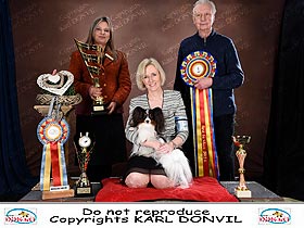 chien �leveurs chiens photos