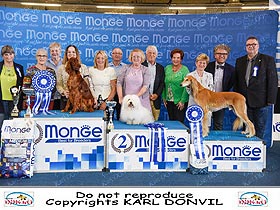 chien �leveurs chiens photos