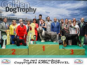 chien �leveurs chiens photos